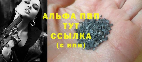 прущие грибы Аркадак