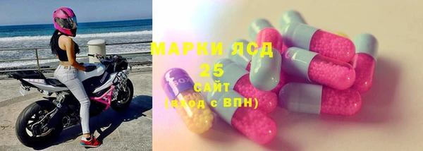 прущие грибы Аркадак