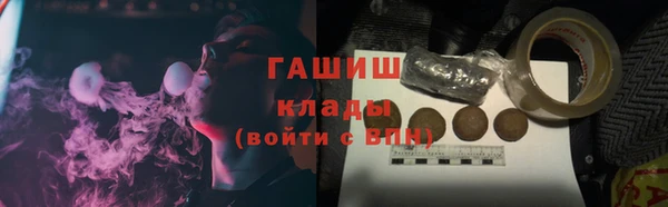 прущие грибы Аркадак