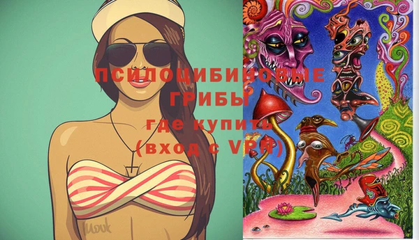 прущие грибы Аркадак