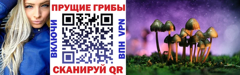 Псилоцибиновые грибы Cubensis  как найти закладки  kraken маркетплейс  Облучье 